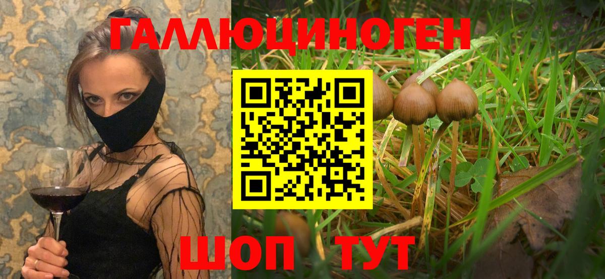 Alpha-PVP Гатчина