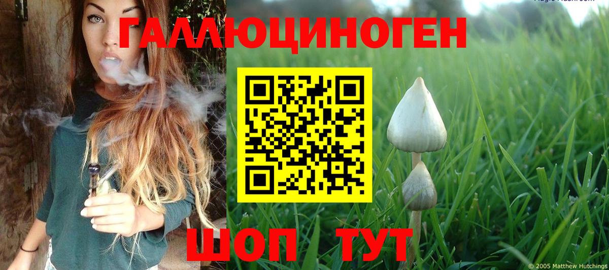как найти закладки  Вход с VPN  Гатчина  Псилоцибиновые грибы Magic Shrooms 